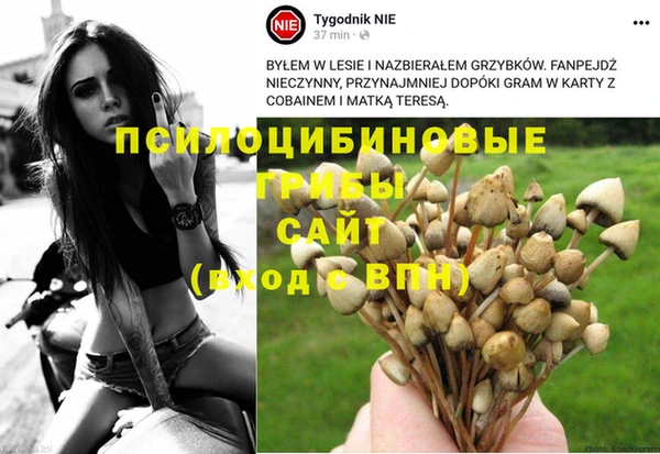 первитин Володарск