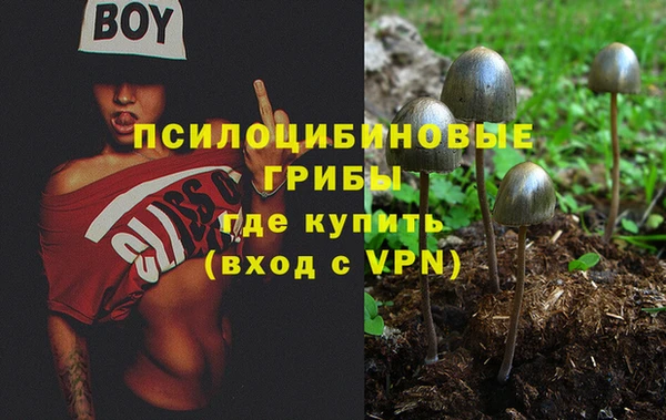 СК Волосово