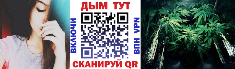 Бошки Шишки план  Далматово 